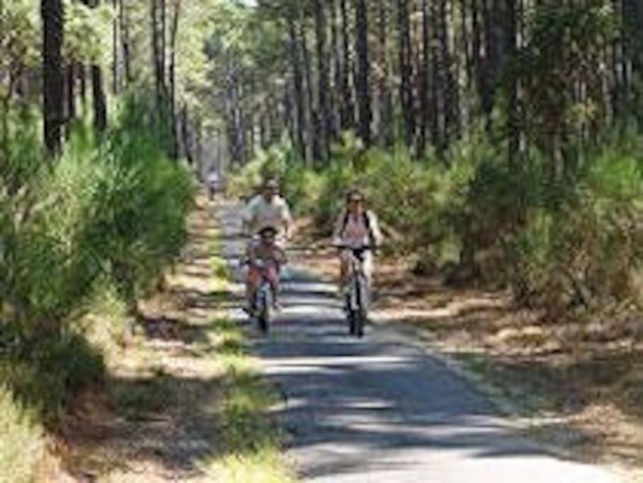 Maison De Vacances 4/5 Personnes A Leon, Landes 外观 照片